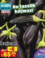 PATLICAN KG PATLICAN KG